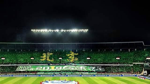 和平精英传奇谢幕,球迷泪洒赛场 和平精英传奇谢幕,球迷泪洒赛场