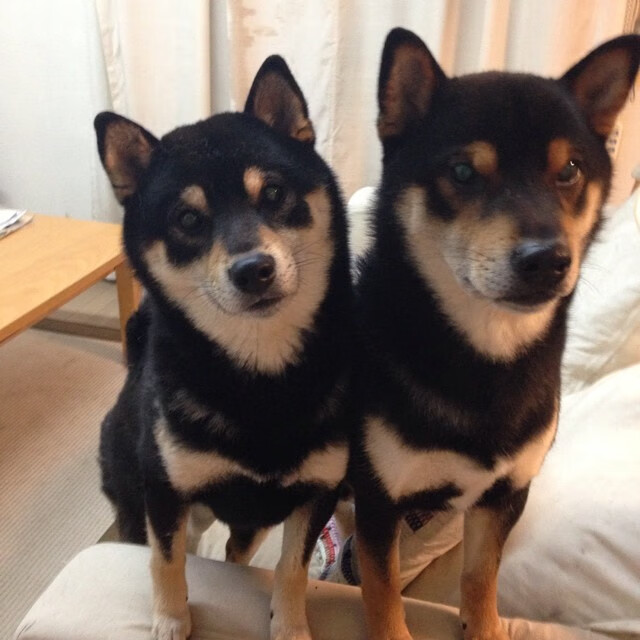 双城记,当基米希刻下丰碑,巴萨于末节奏响逆转狂想曲