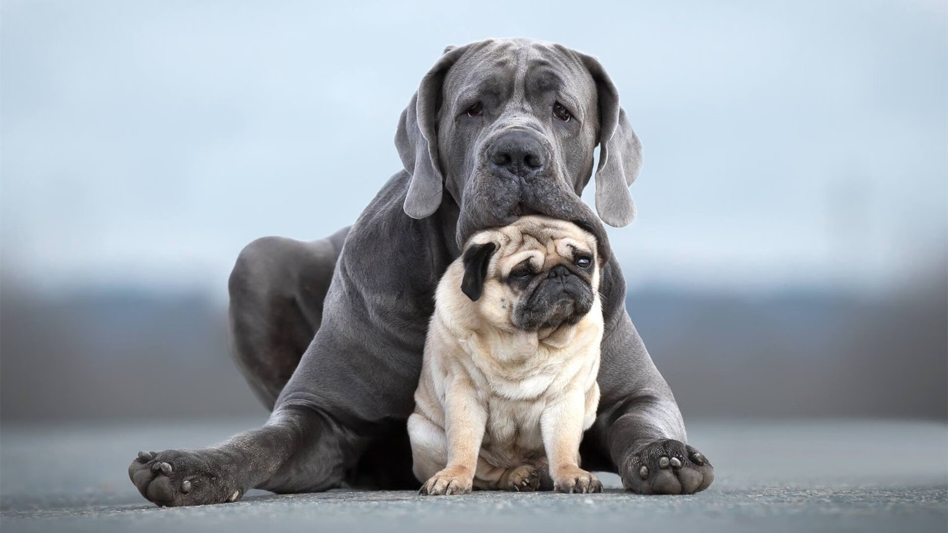 读秒绝杀!无名小卒皮克化身英雄,沙特上演沙漠奇迹