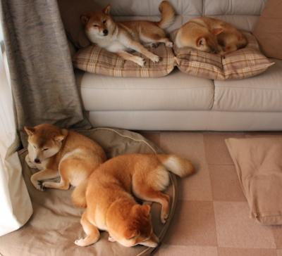 击碎与新生,当铁血与才华重绘足球版图