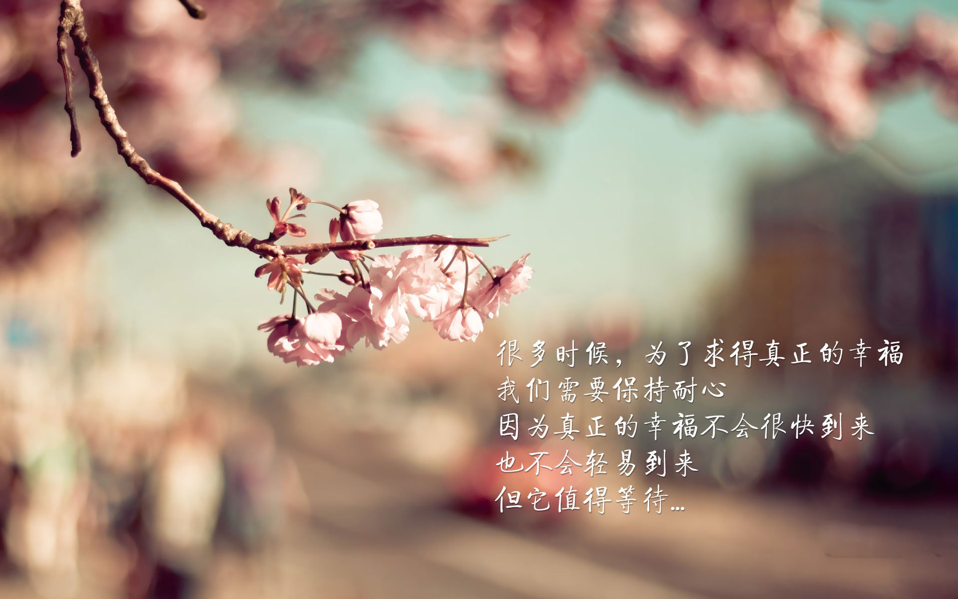 开拓者轻取热火，塔图姆的关键时刻如何定义胜利