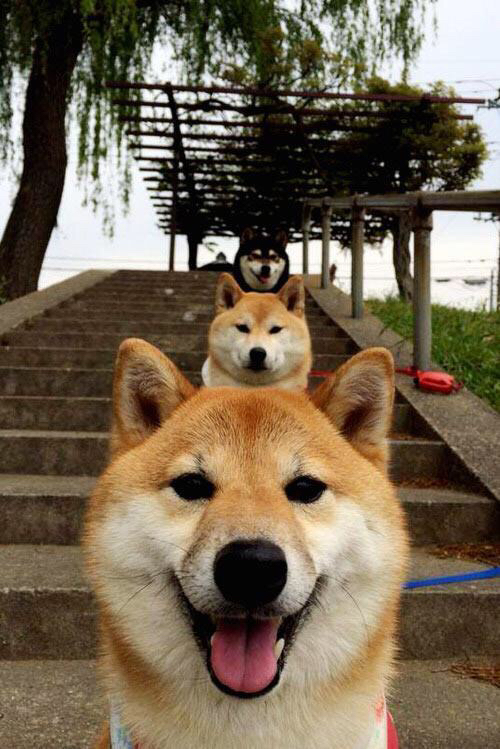 钢与火,当努涅斯在西甲德比中点亮利刃,阿根廷在远方燃烧着同样的灵魂