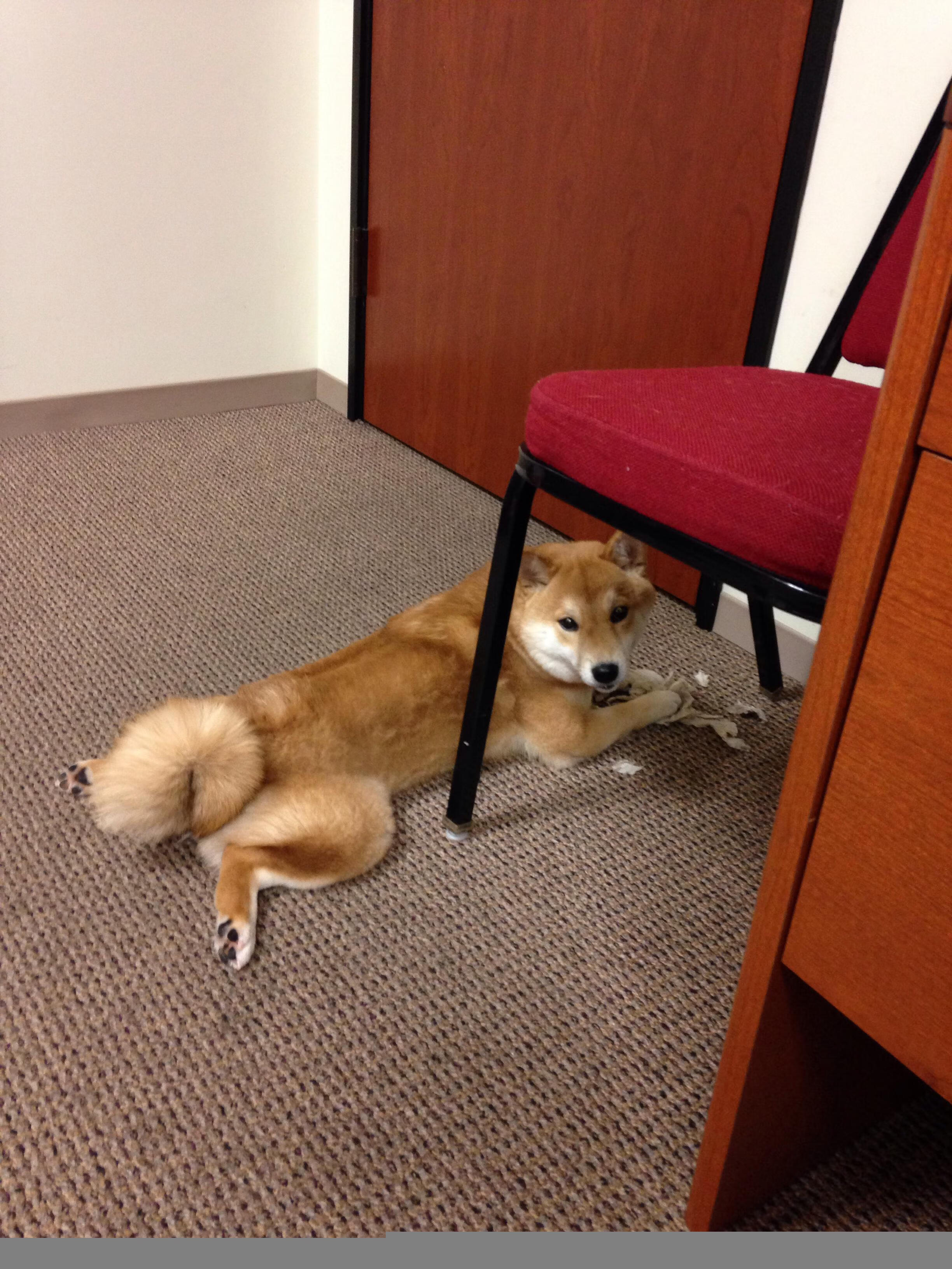 跨越太平洋的篮球对话，浙江队友谊赛憾负篮网，伦纳德客场征服全场无争议