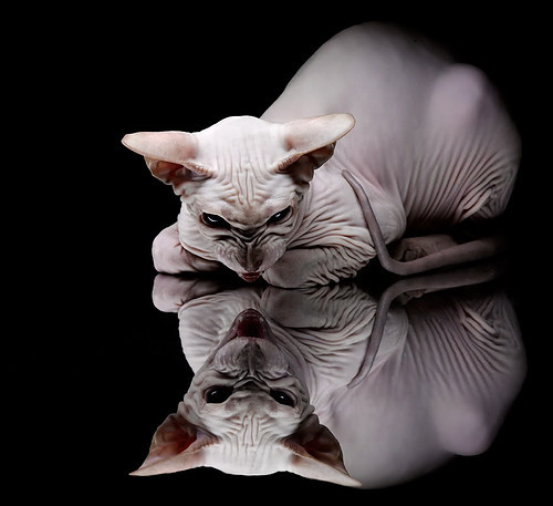 深红交响中的休止符，迪亚斯一瞬撕裂土耳其的节奏掌控