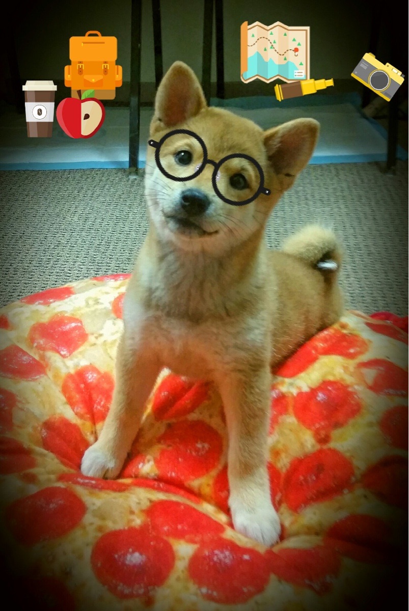 跨界之战，广厦魔术主场迎战奥兰多，杜兰特超神表现赛后评分直飙满分！