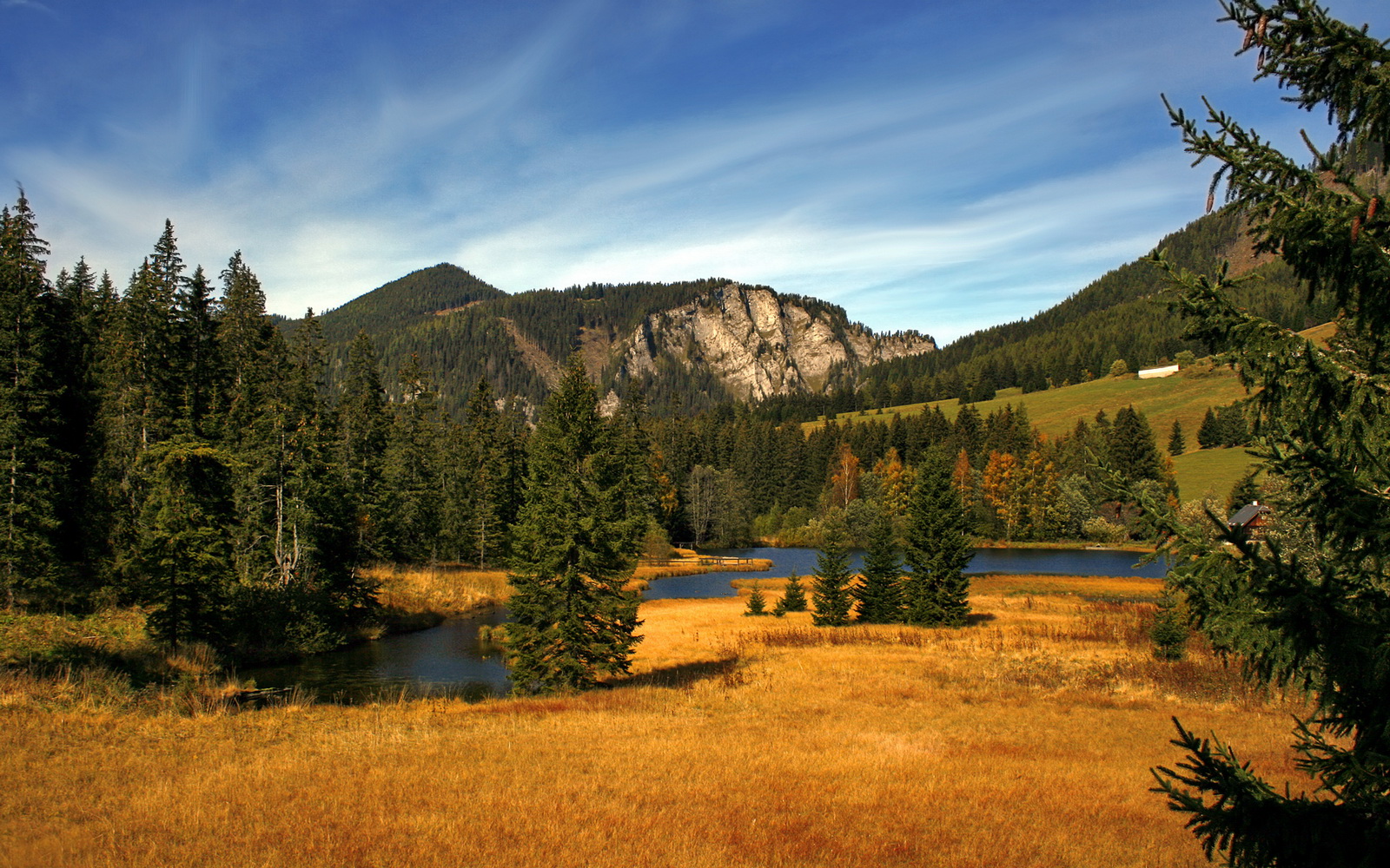 跨越重洋的绝杀，当深圳之矛刺穿马刺之盾，范弗利特在镜像时空接管战场