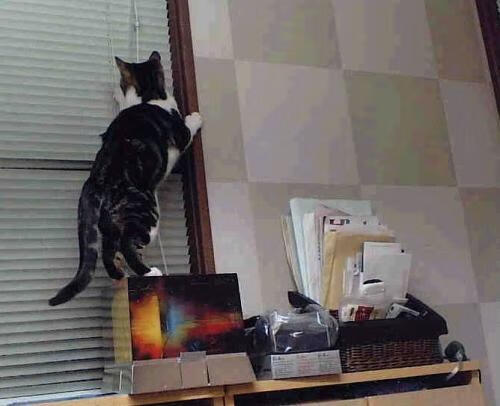 终局者伊布，左手划开金箔，马赛的午夜决胜时刻