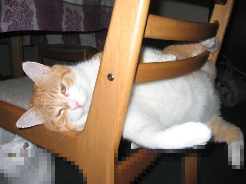 北欧童话的终结者，当巴雷拉的铁血腰肢碾过芬兰的冰雪防线