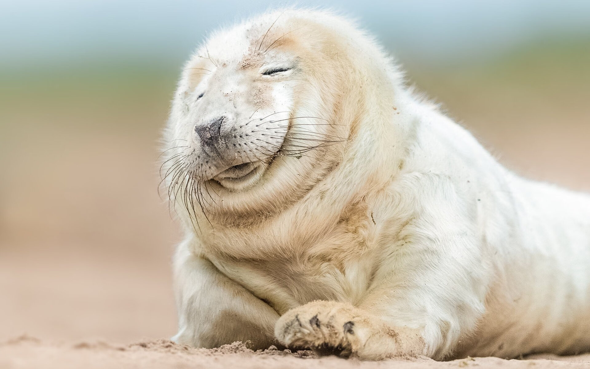 当暴力美学颠覆篮球教科书，锡安用最不合理的方式，打出了最完美的比赛