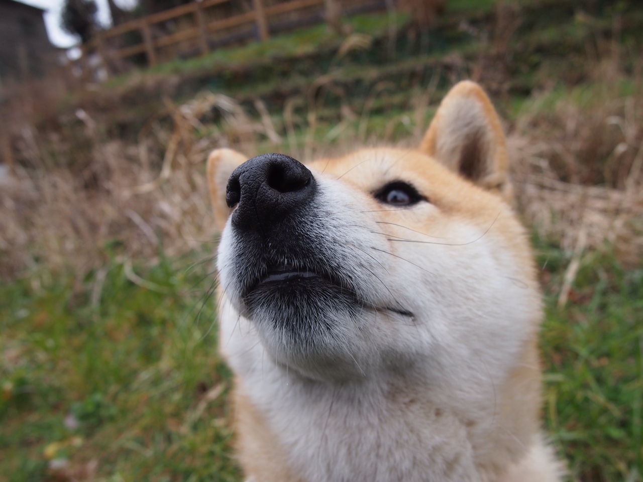 阿布扎比灯灭一刻，他按下了红色按钮