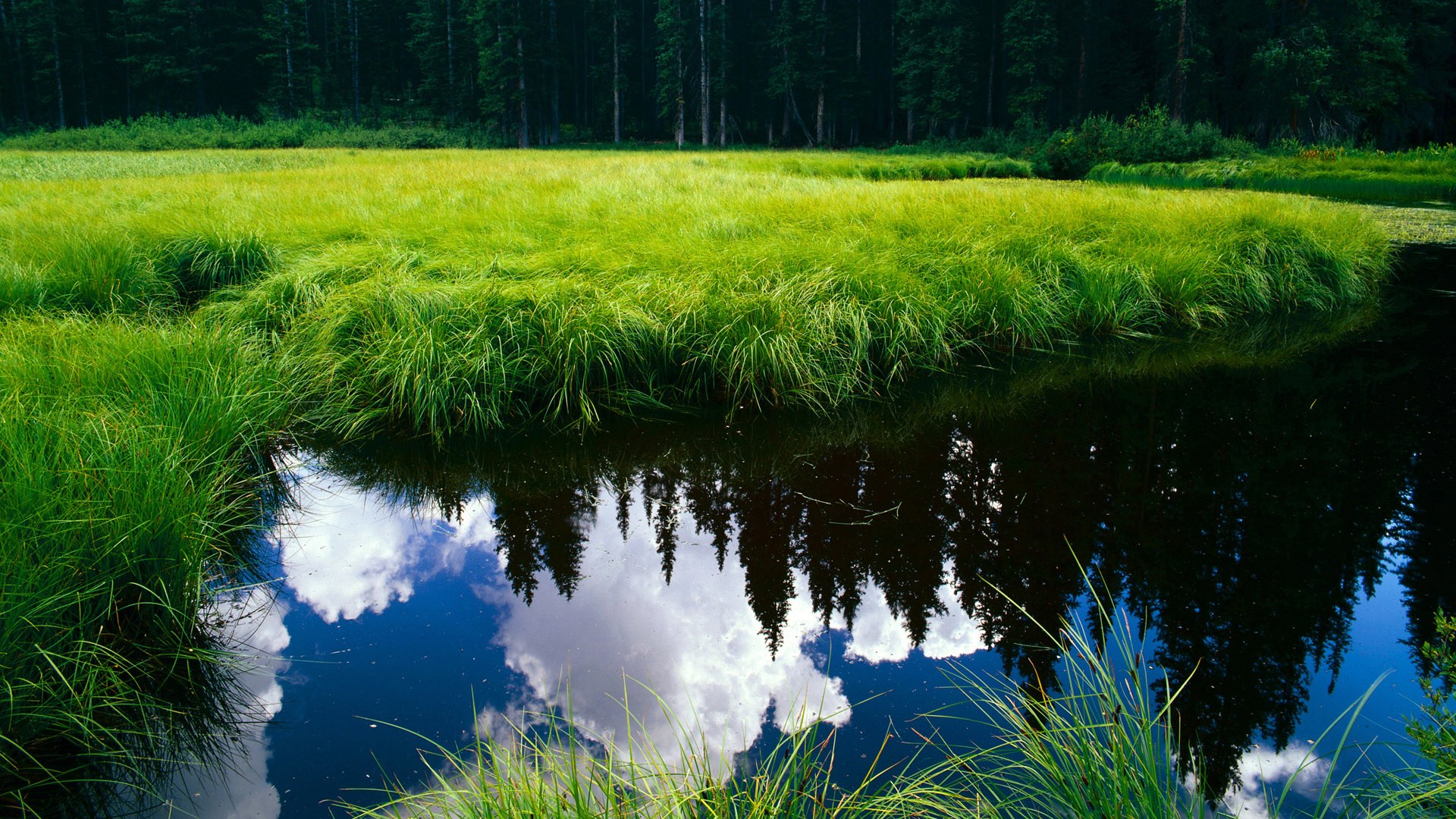 欧冠淘汰赛之夜，梅西，现代足球攻防转换的唯一解