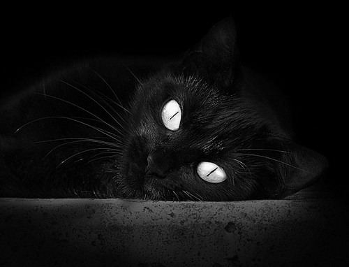 新疆深圳巅峰对决，谁是CBA约基奇？