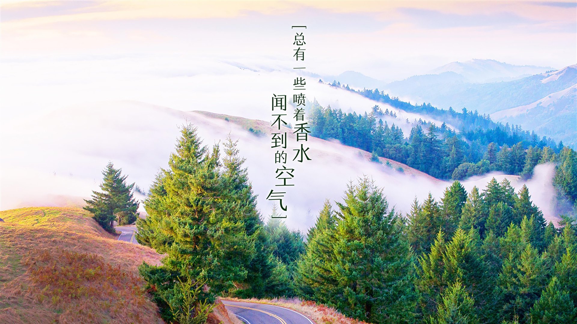 亚细亚铁骑踏碎樱花,布罗佐维奇的中军帐,如何用一记手术刀剖开日本队的不败金身?