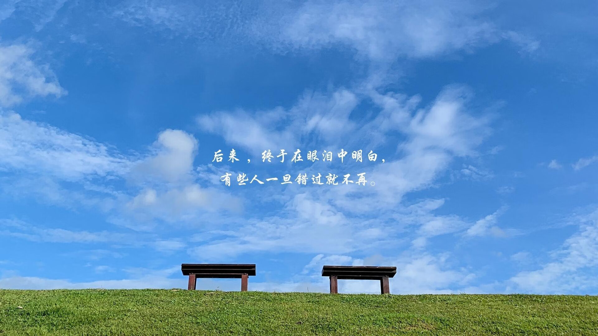 蓝白与金杯的寓言,当凯恩穿上阿根廷的10号,用一场背叛完成历史压哨救赎
